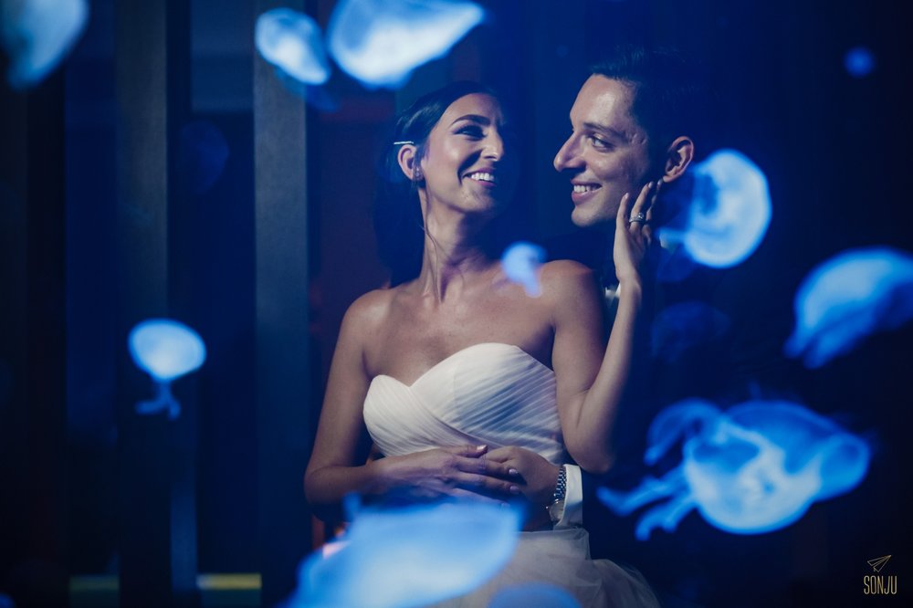 Jellyfish-tank-W-Fort-Lauderdale-Wedding-Photography