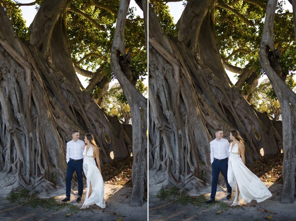 Engaged couple poses in front of a huge banyan tree on the Miami Beach Golf Course